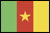 Flag of Cameroon
